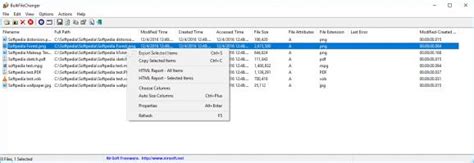 NirSoft BulkFileChanger 1.73 Download